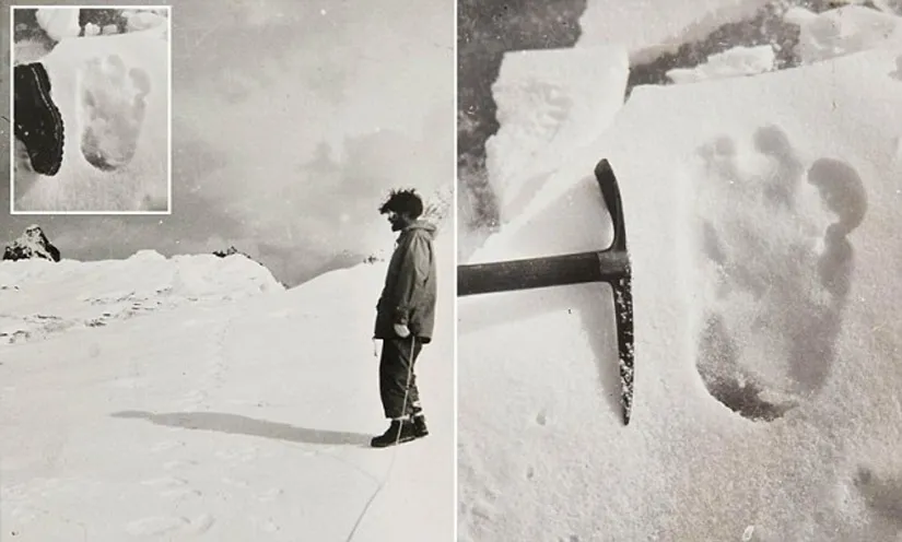 Large Yeti footprints near Menlung Glacier, documented during the 1951 Eric Shipton expedition.