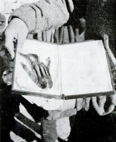 Pangboche Hand which was originally alleged to be from a yeti. DNA testing proved that the hand was human.