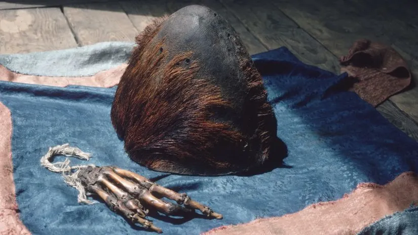 Yeti scalp recovered during a Yeti expedition