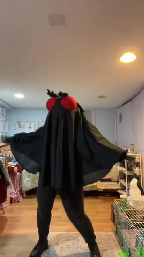 simple and cute mothman costume