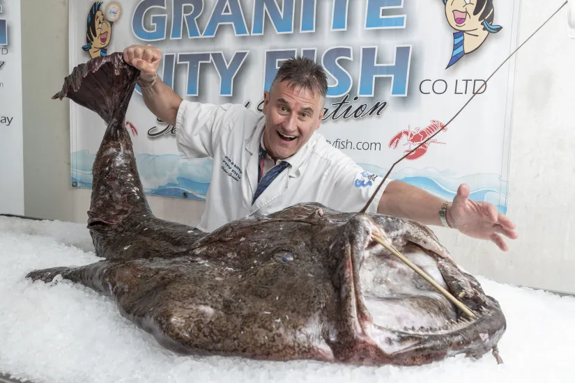 large-monkfish a large monkfish