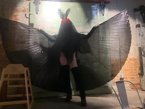 sexy mothman outfit